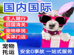 银川机场邮寄国际宠物托运 【国